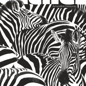 9791040118817-caches