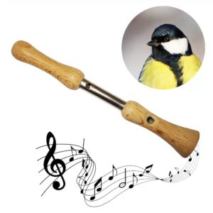 3700604401711-appeau---mesange-charbonniere