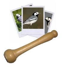 3700604401674-appeau---bergeronnette-grise