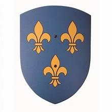 4260117182310-bouclier-fleur-de-lys-courbe-2737-cm