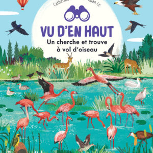 9782383223672-vu-den-haut---un-cherche-et-trouve-a-vol-doiseau