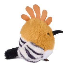 3700349334404-cui-cui-paradis---kiwi-huppe-faciee