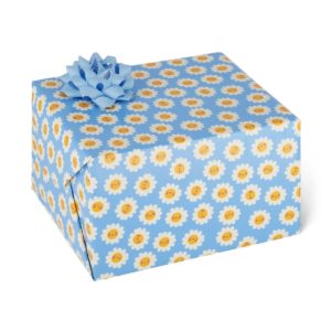 8053610785081-papier-cadeau---daisy
