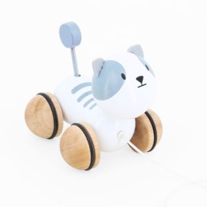 3048700017123-chaton-a-trainer