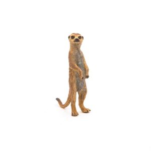 2000098050466-suricate