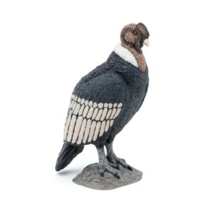 3465000502935-condor