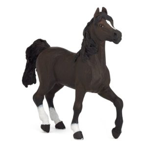 3465000515058-cheval-arabe